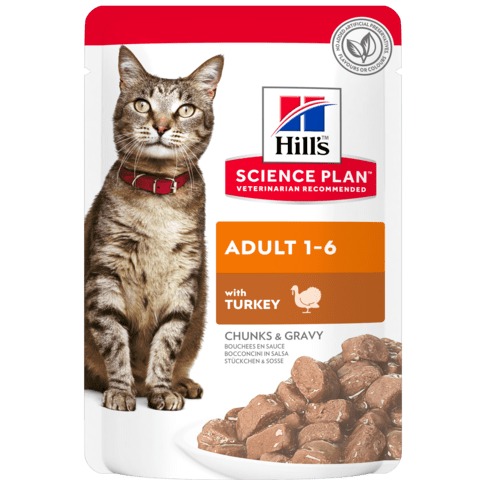HILL S ADULT TACCHINO 85 GR