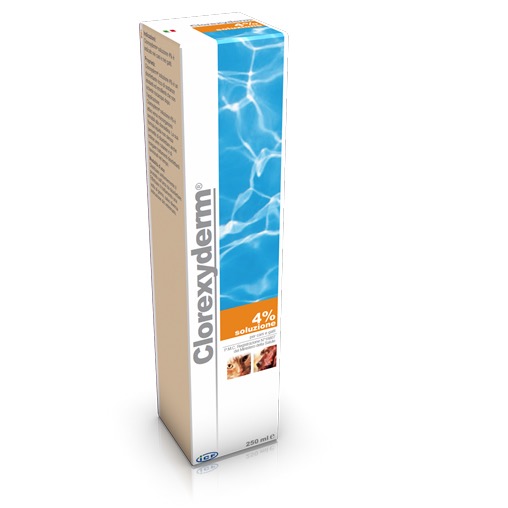 ICF CLOREXIDERM soluzione 4 % 100ML