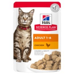 HILL S ADULT POLLO 85GR
