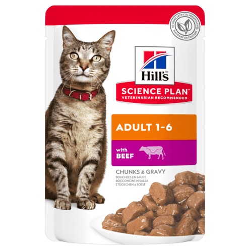 HILL S ADULT BEEF 85 GR