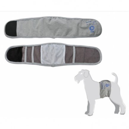 CAMON FASCIA PER CANI MASCHI 