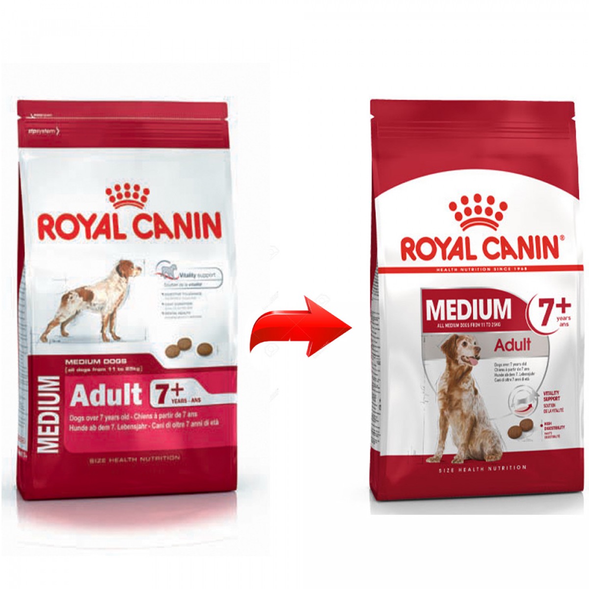 ROYAL CANIN CANE MEDIUM ADULT 7+ 4 KG