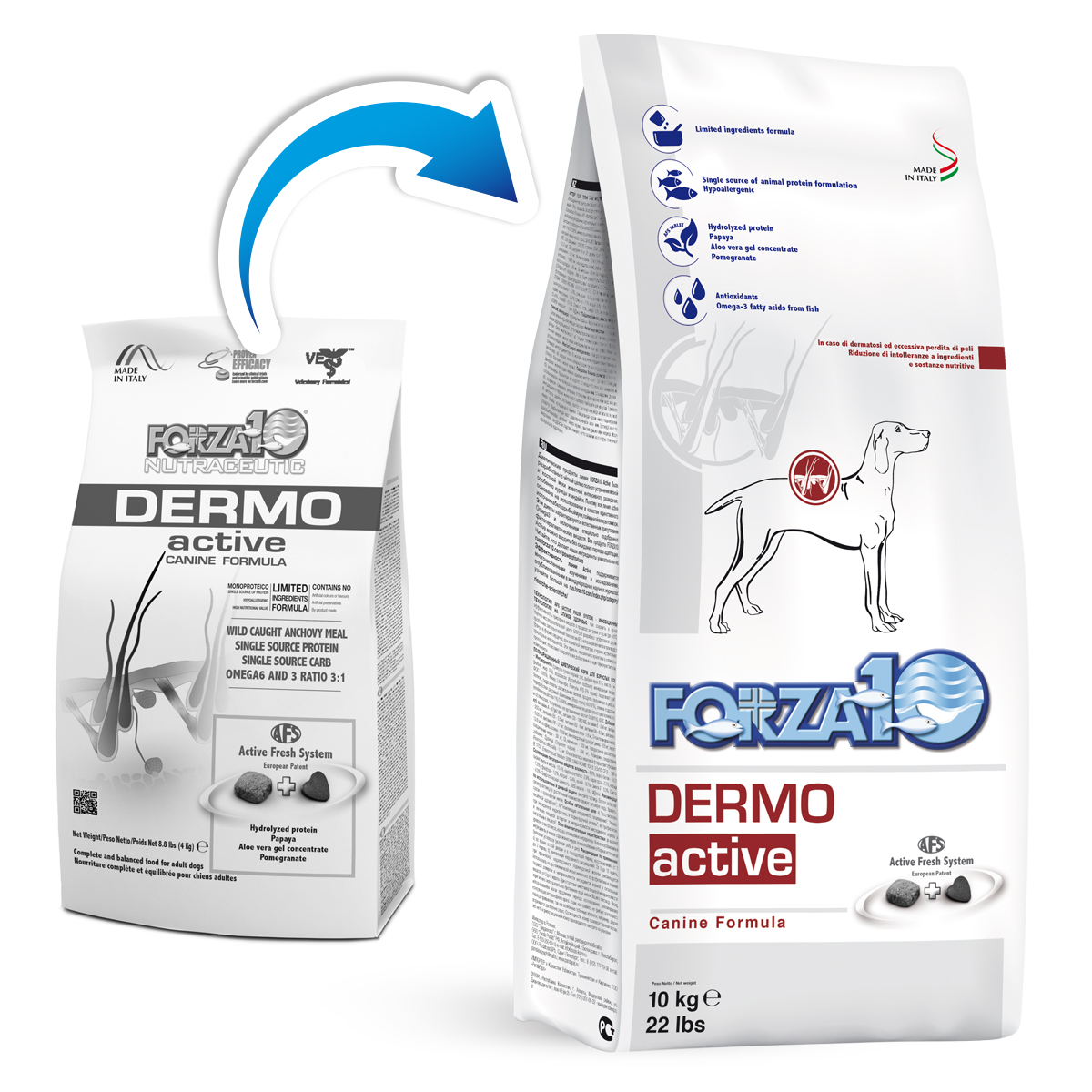 FORZA 10 CANE DERMO ACTIVE 10KG