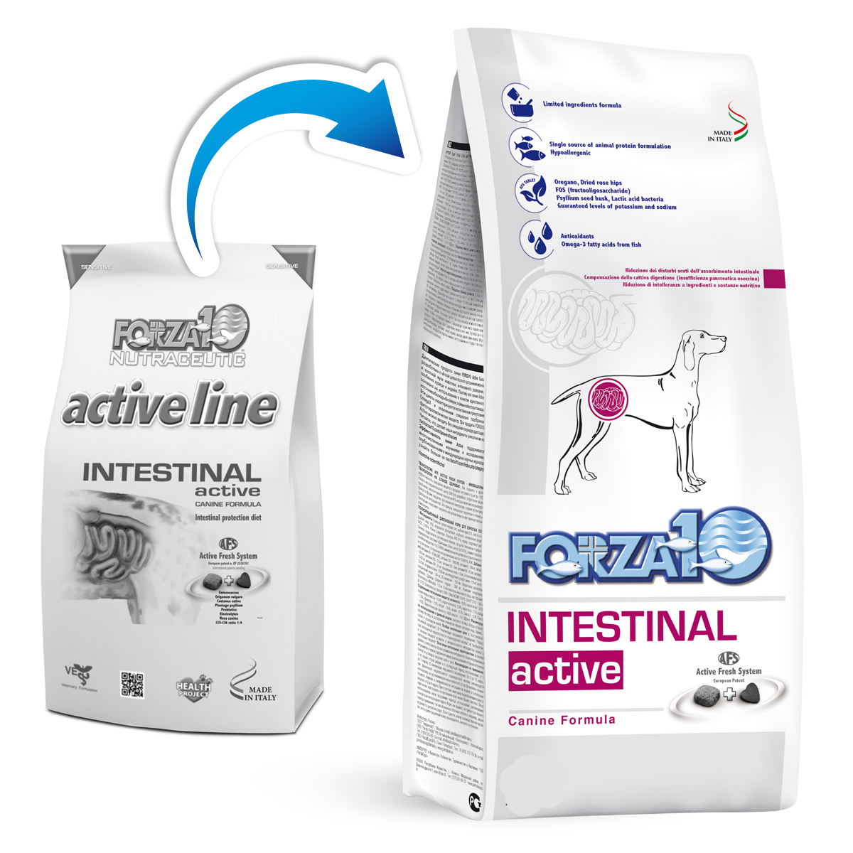 FORZA 10 CANE INTESTINAL ACTIVE 4KG