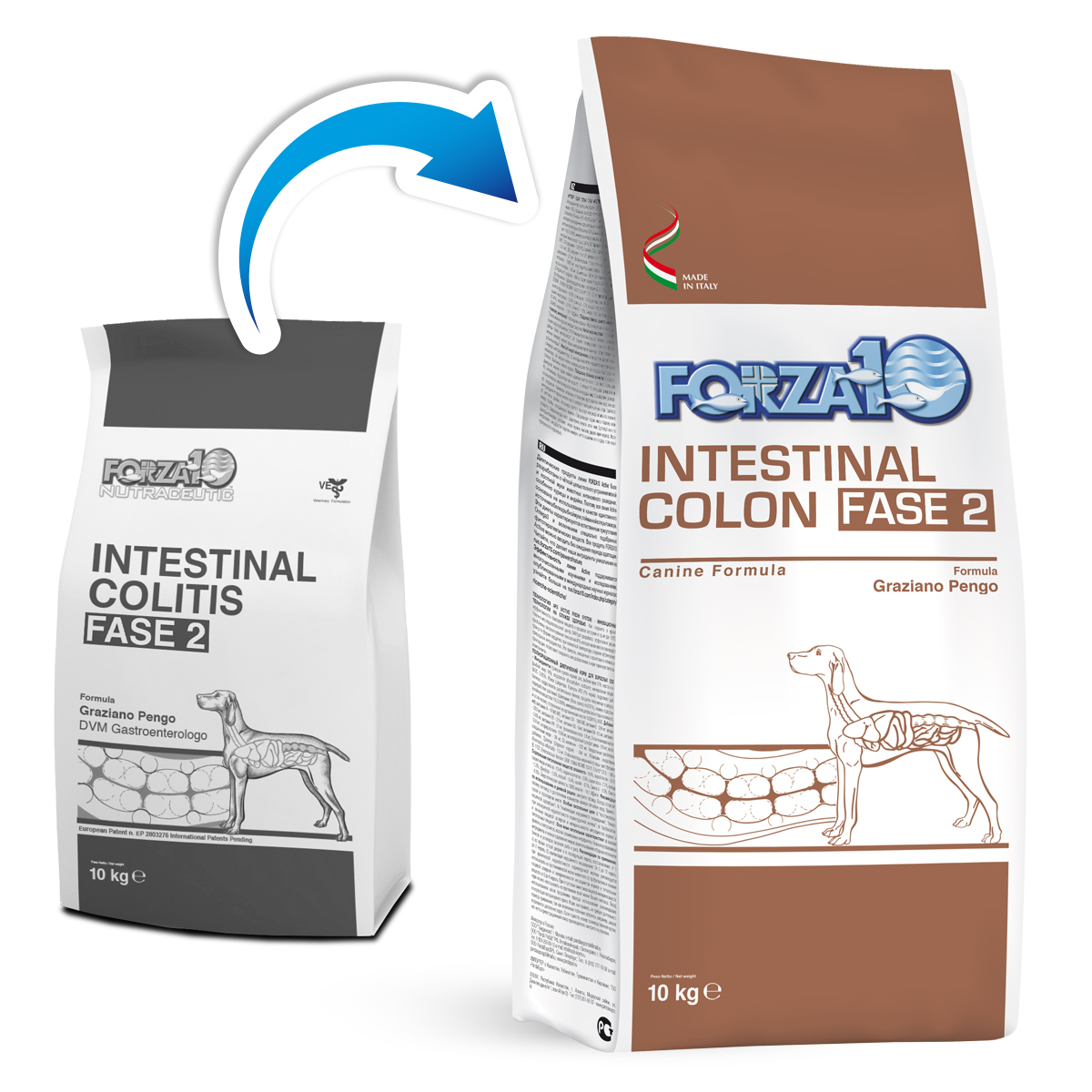 FORZA 10 CANE INTESTINAL COLITIS FASE 2 10KG