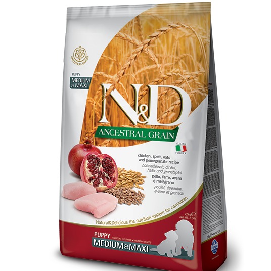  NED  CANE LG MAXI PUPPY POLLO/MELOGRANO 2,5KG