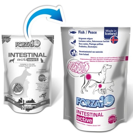 FORZA 10 CANE/GATTO INTESTINAL ACTIWET 100GR