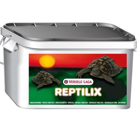 VERSELE LAGA REPTILIX TARTARUGHE 4 LITRI 1KG