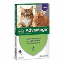 BAYER GATTI XL CONIGLI XL ADVANTAGE 80 MG   