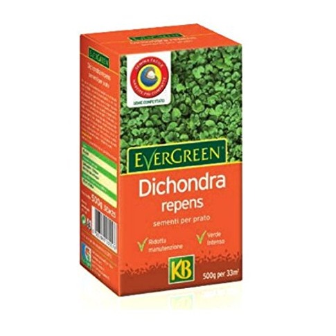 DICONDRA REPENS 500 GR