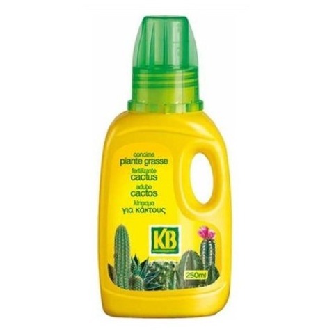 PIANTE GRASSE 250 ML