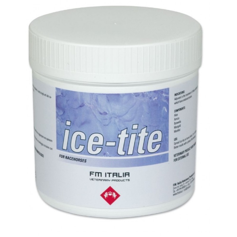 ICE TITE 1000 GR