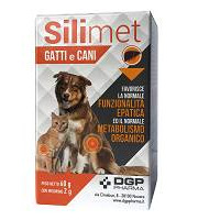 SILIMET 60 GR