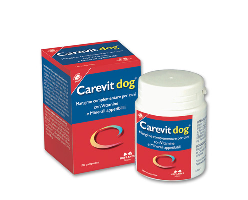 NBF CAREVIT DOG 100 COMPRESSE 