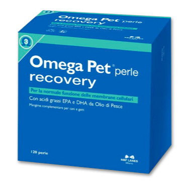 NBF OMEGA PET RECOVERY 120 PERLE