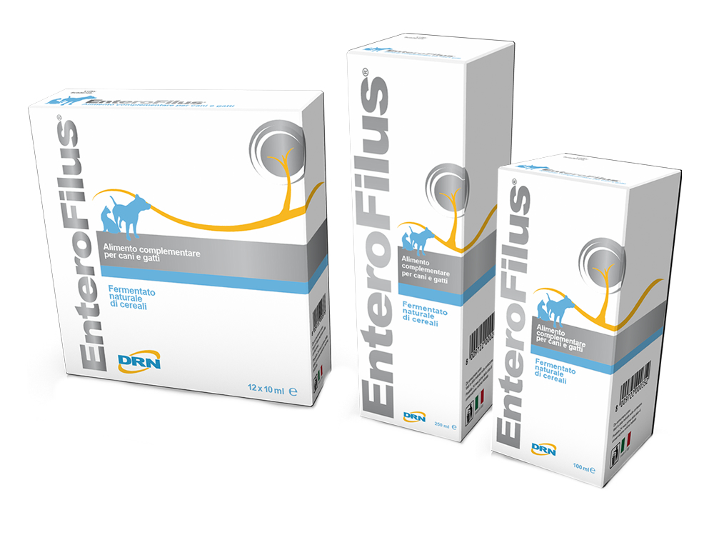 DRN ENTEROFILUS 100 ML