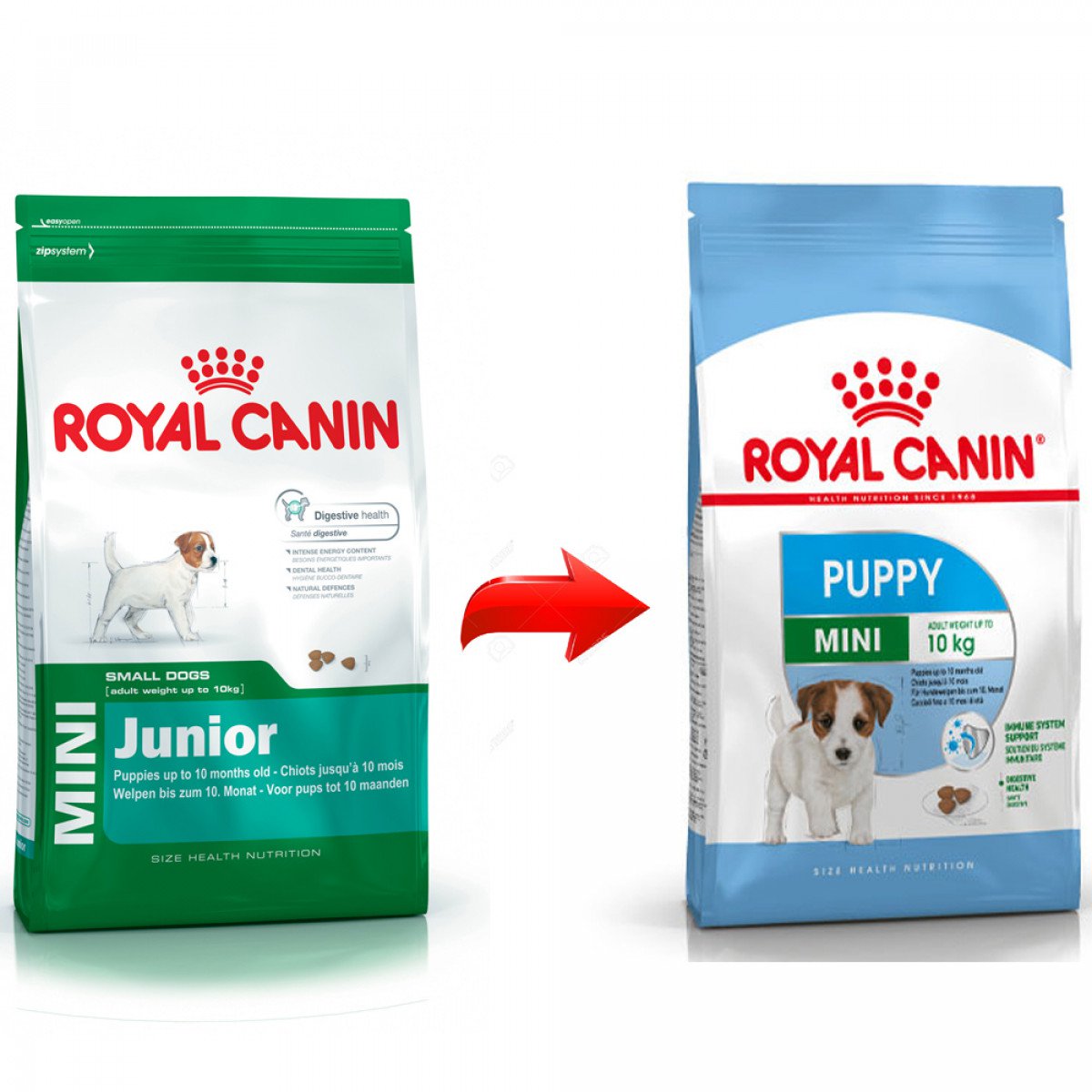 ROYAL PUPPY MINI JUNIOR 8KG