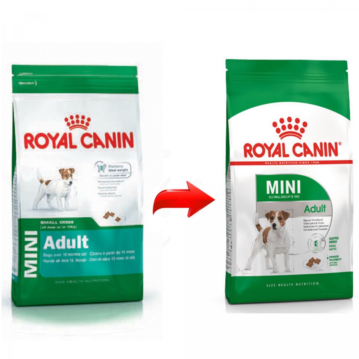 ROYAL MINI ADULT 2KG