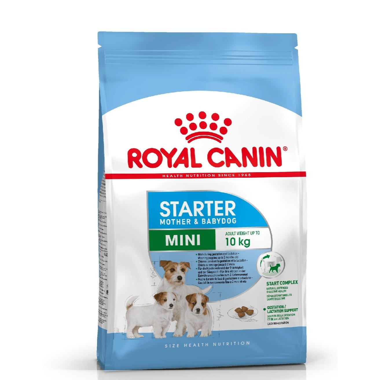 ROYAL MINI STARTER 1KG