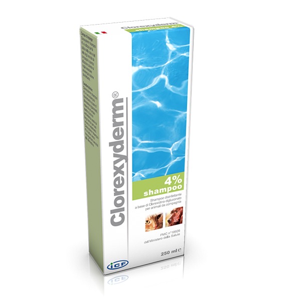 ICF CLOREXIDERM SHAMPOO 4% 250 ML