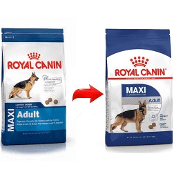 ROYAL MAXI ADULT 4 KG